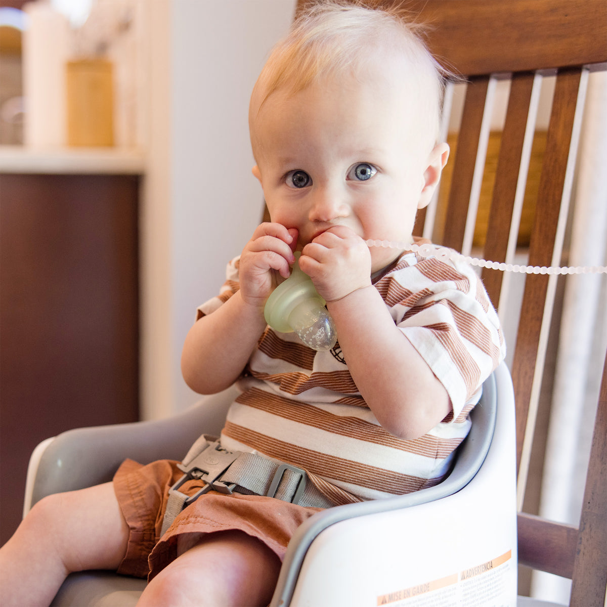 Food Feeder Set - Feeder + Freezer Tray with Lid - Olababy